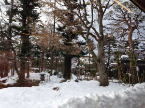 雪景色の庭園